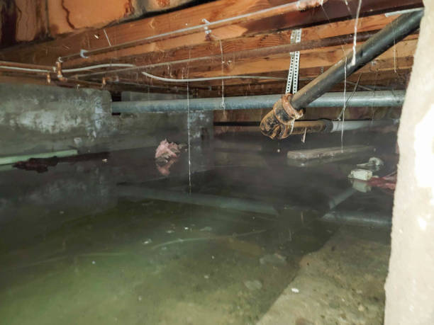 Best 24/7 water damage repair  in Mahnomen, MN
