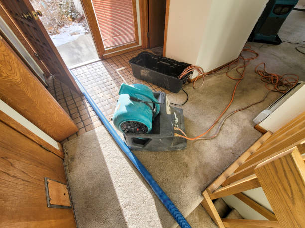 Best Water damage restoration near me  in Mahnomen, MN