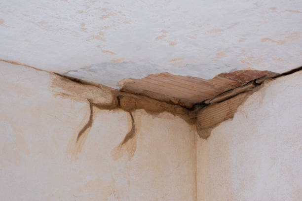 Best Local water damage restoration  in Mahnomen, MN