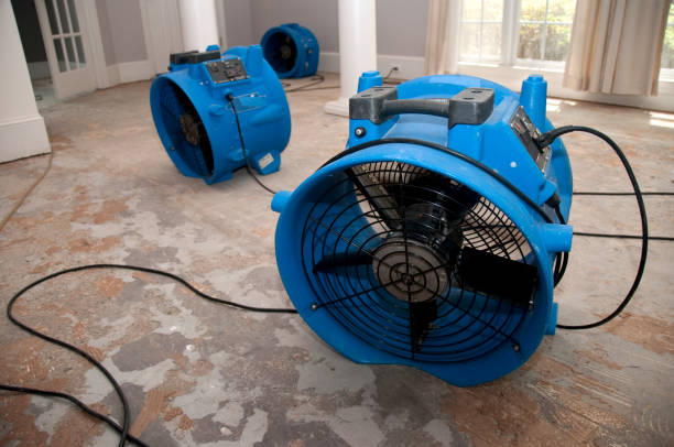 Best Ceiling water damage repair  in Mahnomen, MN