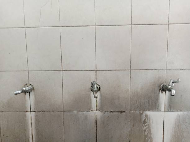 Best Emergency water damage restoration  in Mahnomen, MN